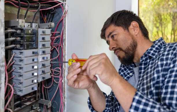 Best Electric Panel Repair  in Chatsworth, GA